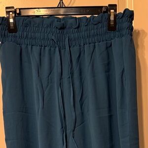 Spotlight Teal or Peacock Wide-Leg Palazzo Pants XXL NWOT